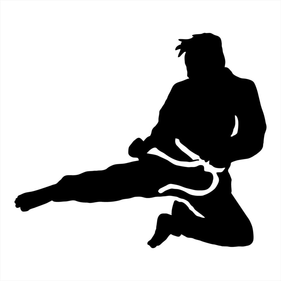 karate silhouette logo icon vector