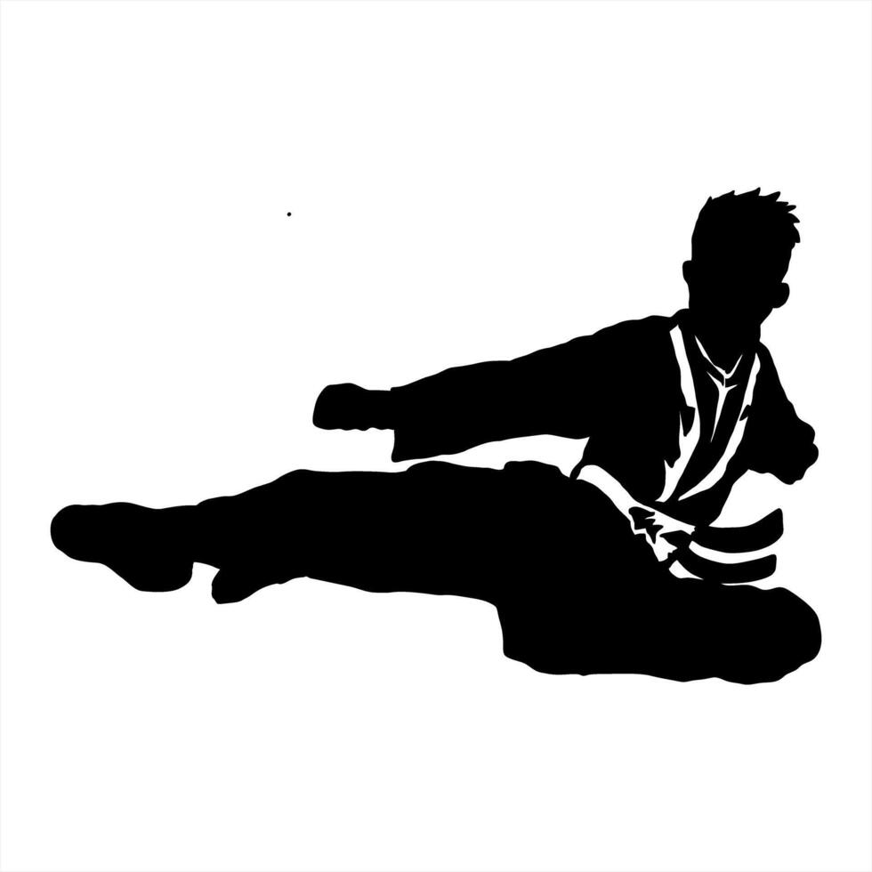 karate silhouette logo icon vector