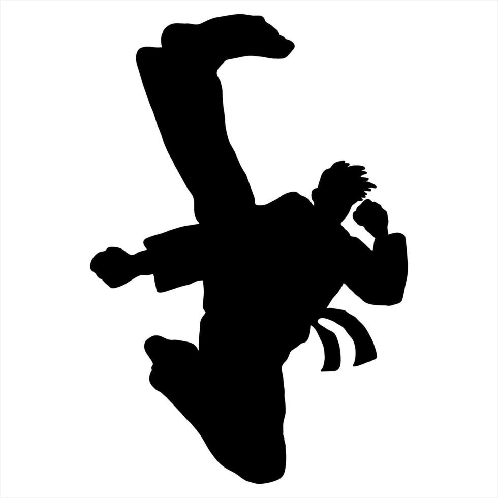 karate silhouette logo icon vector