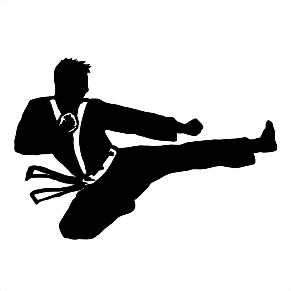 karate silhouette logo icon vector