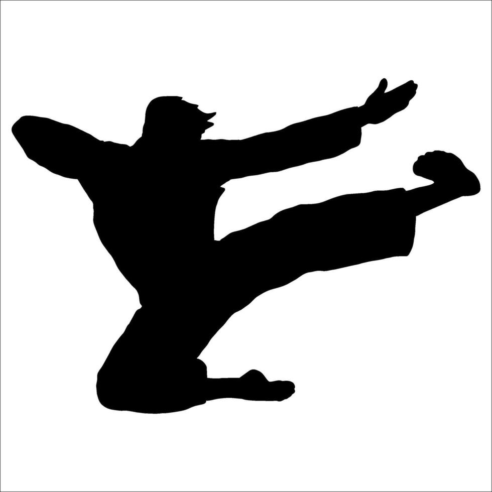 karate silhouette logo icon vector