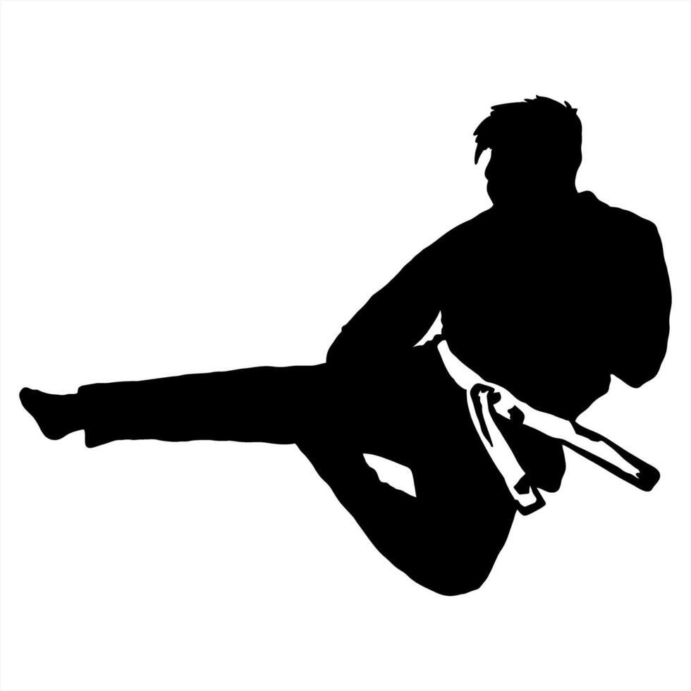 karate silhouette logo icon vector