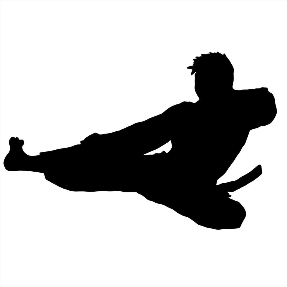 karate silhouette logo icon vector