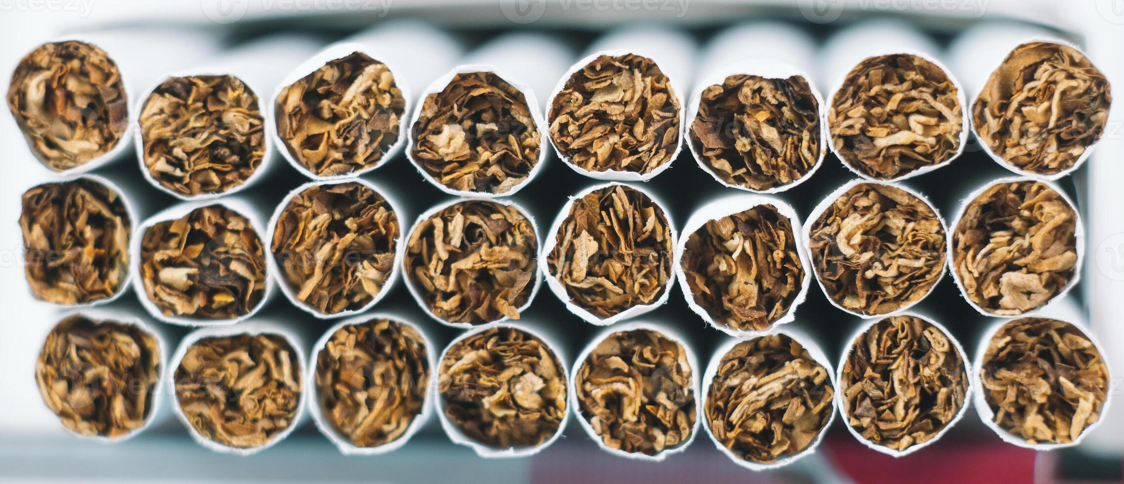 Close up tobacco cigarette background or texture. Heap of tobacco cigarettes close up from the front photo