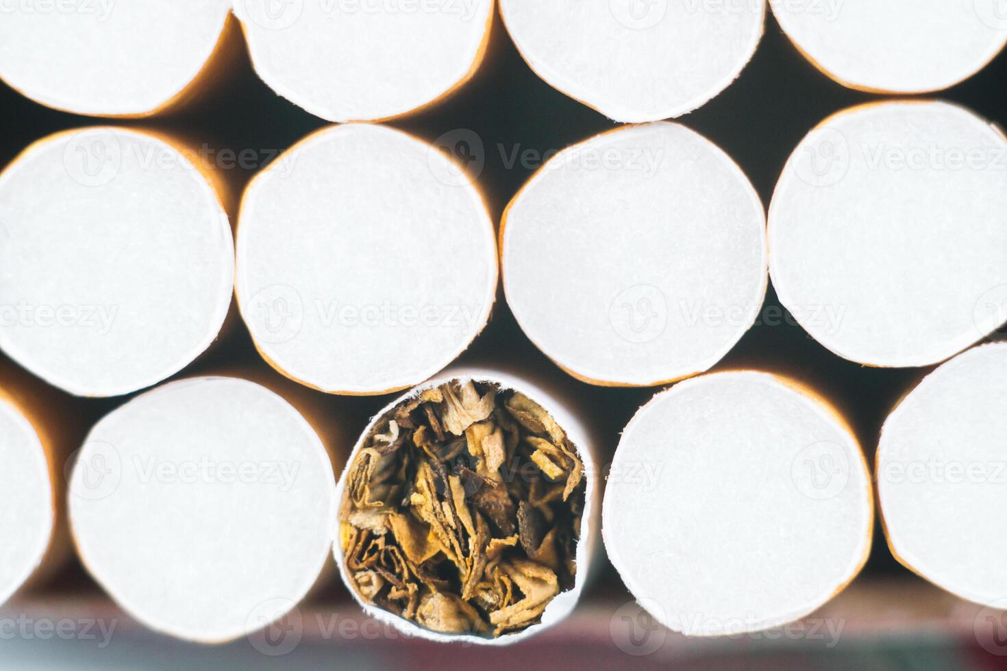 Close up tobacco cigarette background or texture. Heap of tobacco cigarettes close up from the front photo