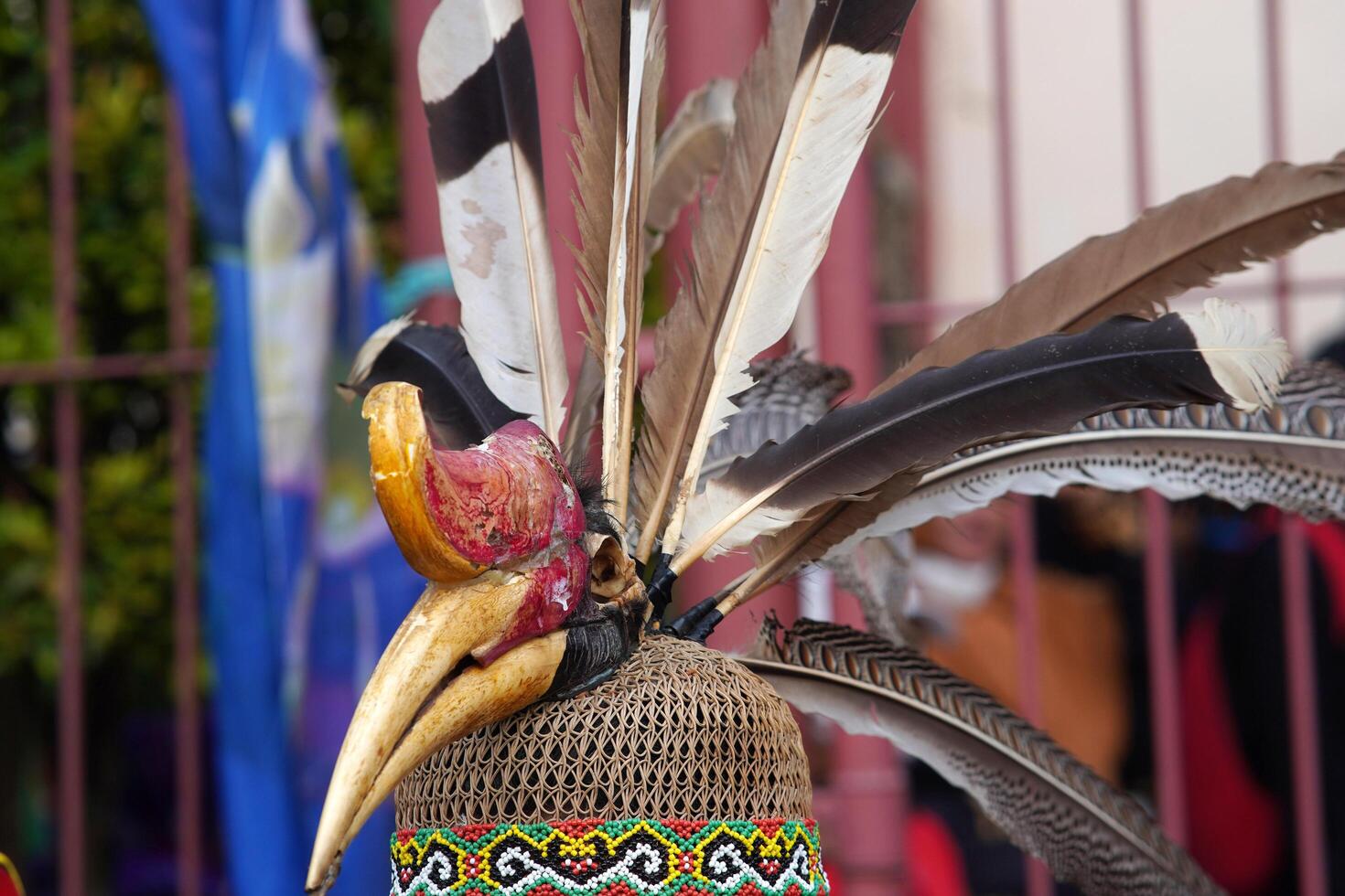 traditional Dayak clothing photo