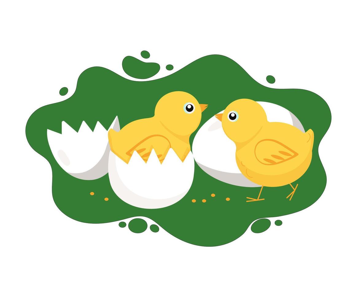 Chickens, eggs, eggshells. Farm, pets. Cute baby chickens. illustration, background isolated. vector