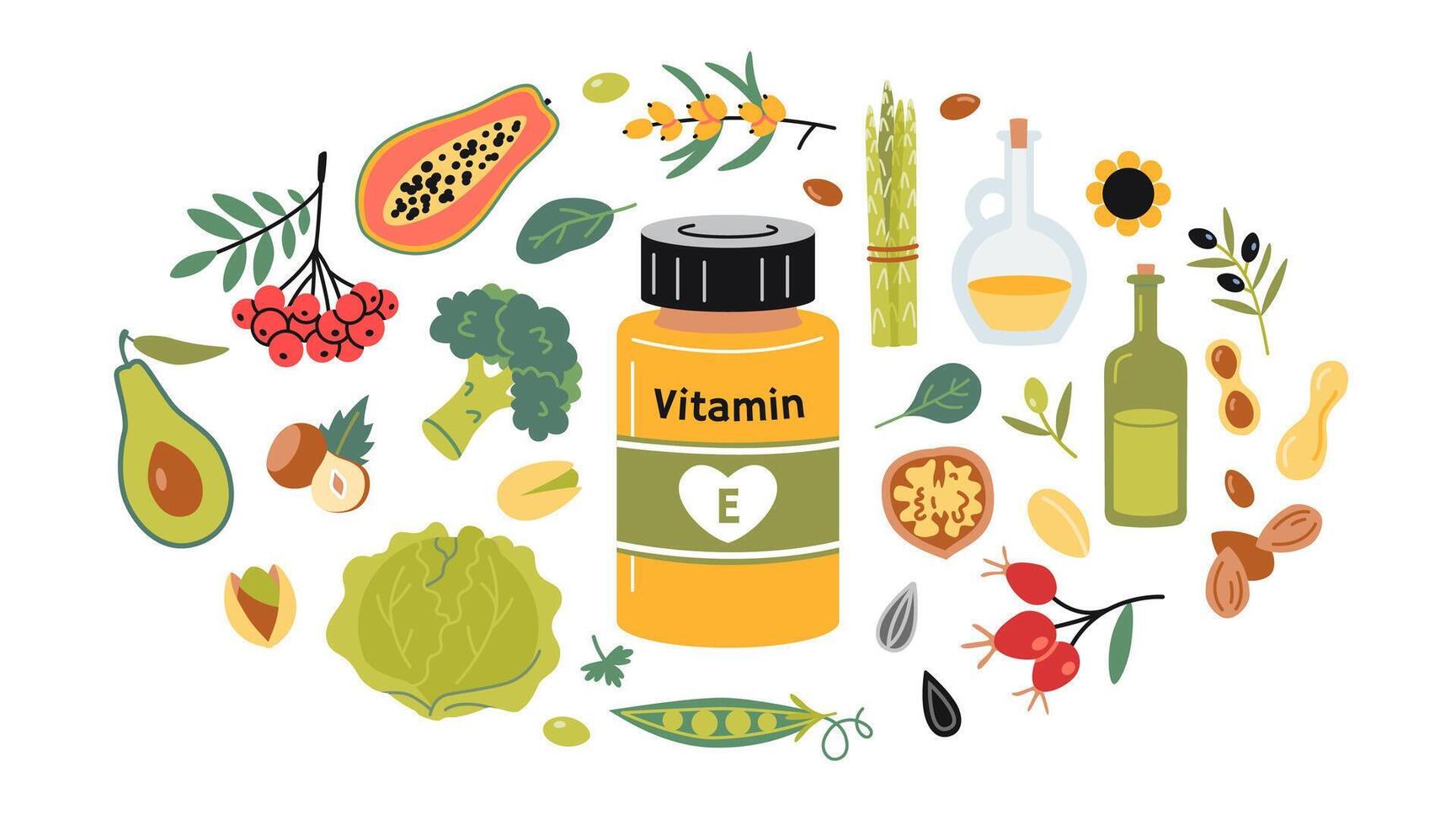 A jar of vitamin E in tablets or capsules and foods enriched with it. Fruits, vegetables, nuts, berries and oil set. Isolated illustration, hand drawn, flat vector