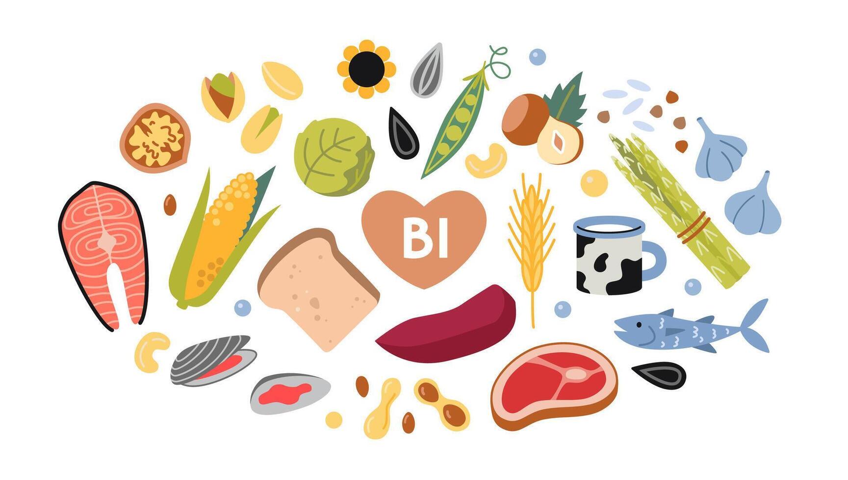 Best sources of vitamin B1 foods, cartoon style. Vegetables, fish, meat, dairy products and nuts set. Isolated illustration, hand drawn, flat design vector