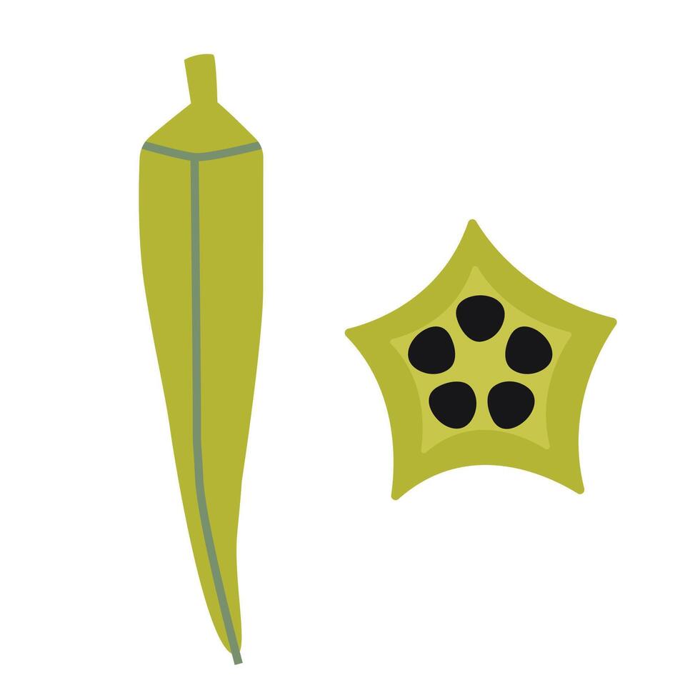 Okra, Lady finger, cartoon style. illustration isolated on white background, hand drawn, flat design vector