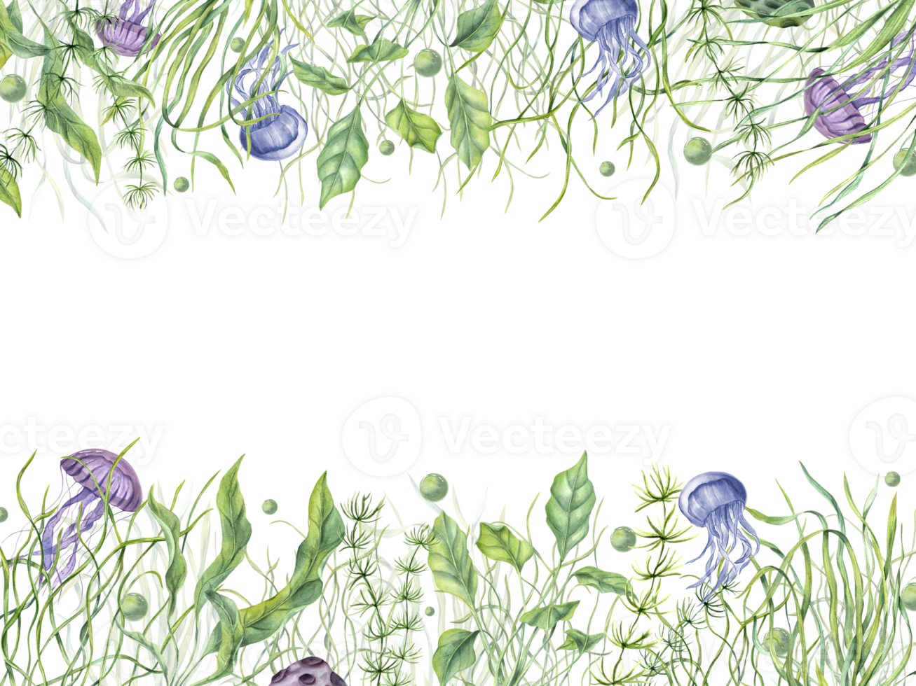 onderzees planten, kwallen, bubbels. horizontaal kader. groen kelpen. lagune onderwater- wereld. marinier fauna. waterverf illustratie. kopiëren ruimte voor tekst. voor etiket pakket groet png