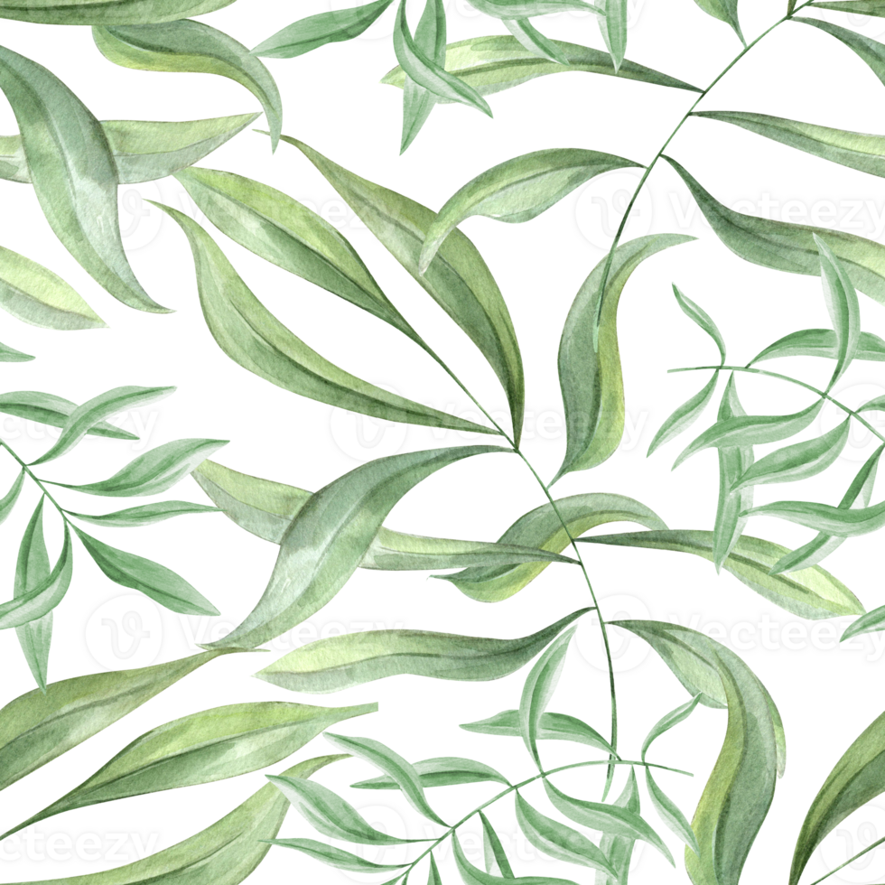 Tropical leaf ornate. Seamless pattern of olive leaves. Green oleander branches. Ivy realistic foliage. Watercolor illustration. Floral greenery design for package, textile, fabric png