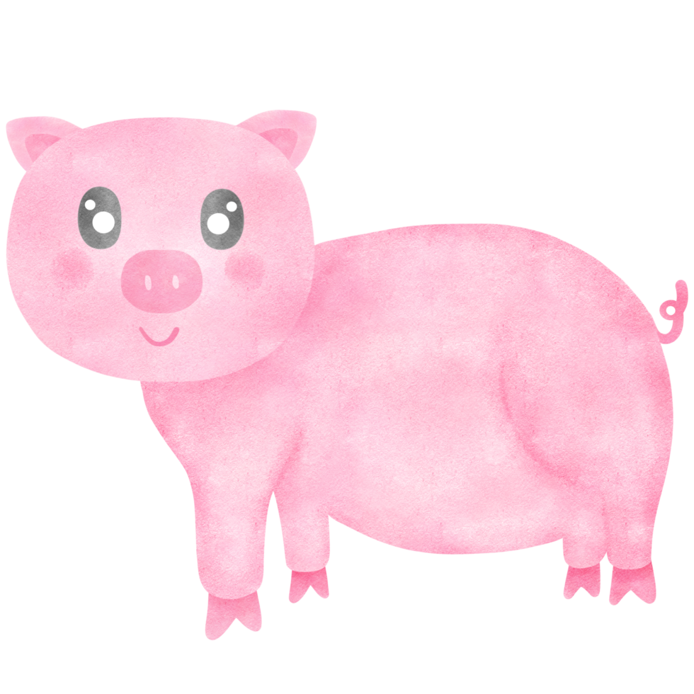 Cute pig hand drawn png