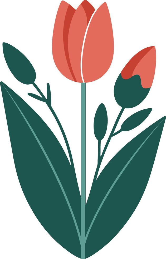 minimalistic flat tulip summer illustration on white background isolated vector
