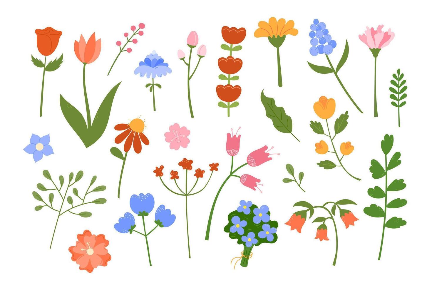 Cute flowers and leaves set. illustration. Floral botanical elements isolated on white background. Hand drawn natural meadow flower objects vector