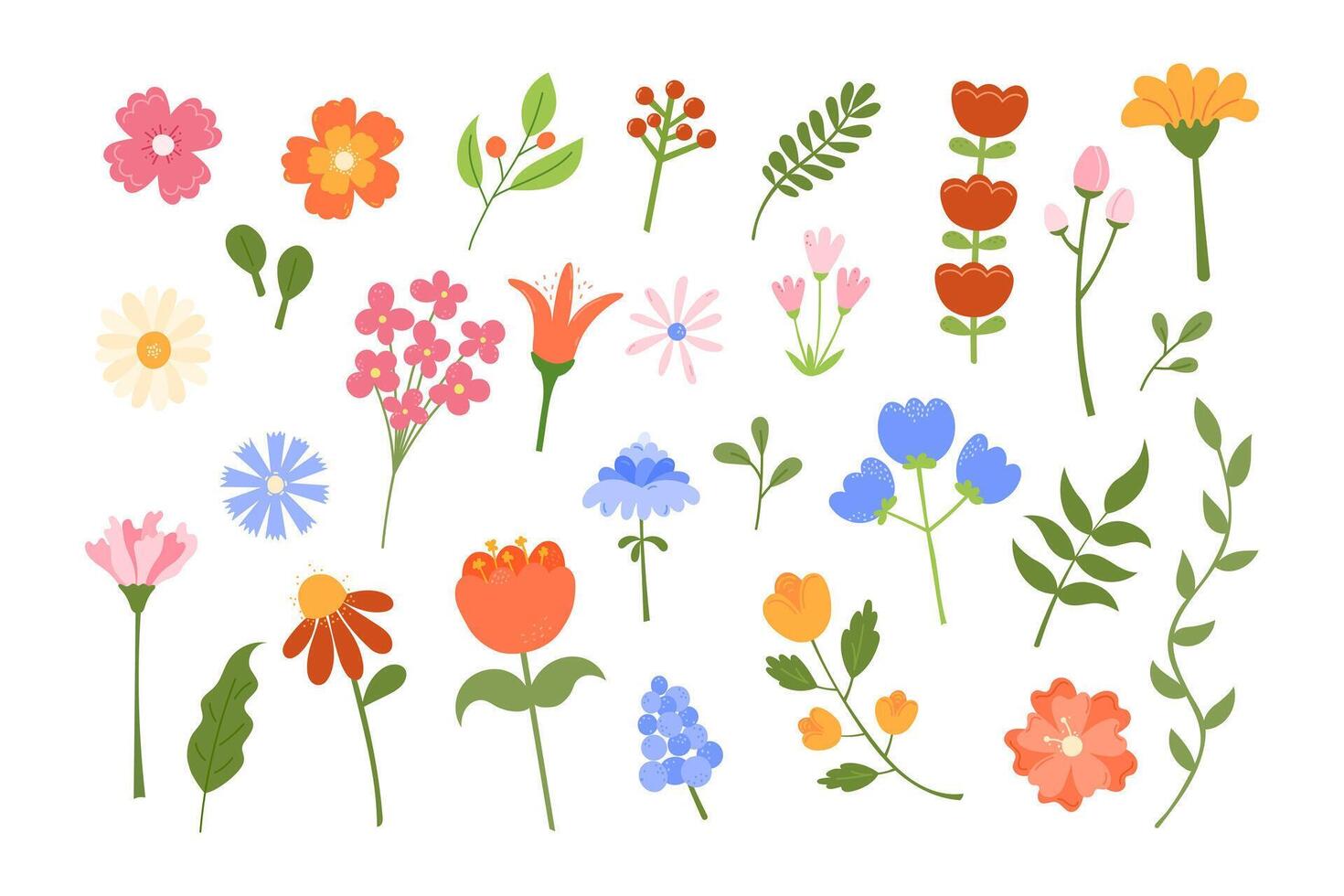 Cute flowers set. Illustration of floral botanical elements, leaves isolated on white background. Hand drawn natural meadow objects vector