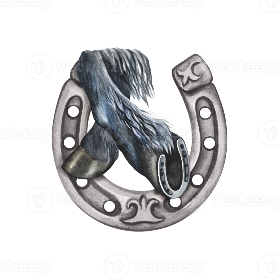Horse hooves with horseshoe. Watercolor illustration. For printing, stickers and labels. For postcards, business cards png