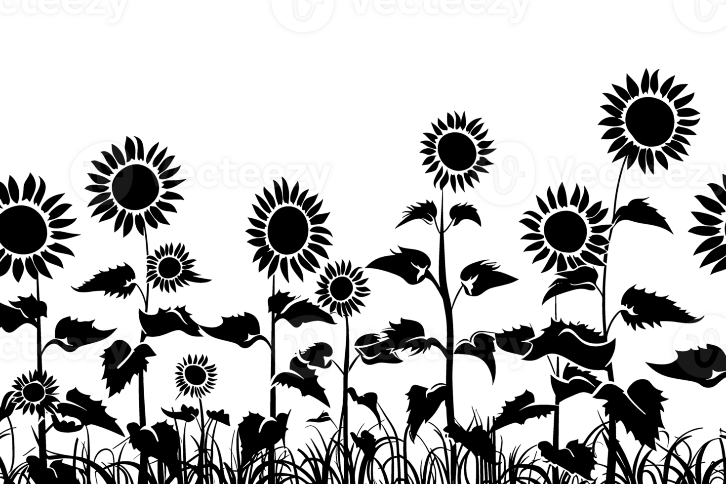 Silhouette outline of sunflowers AI generativ png