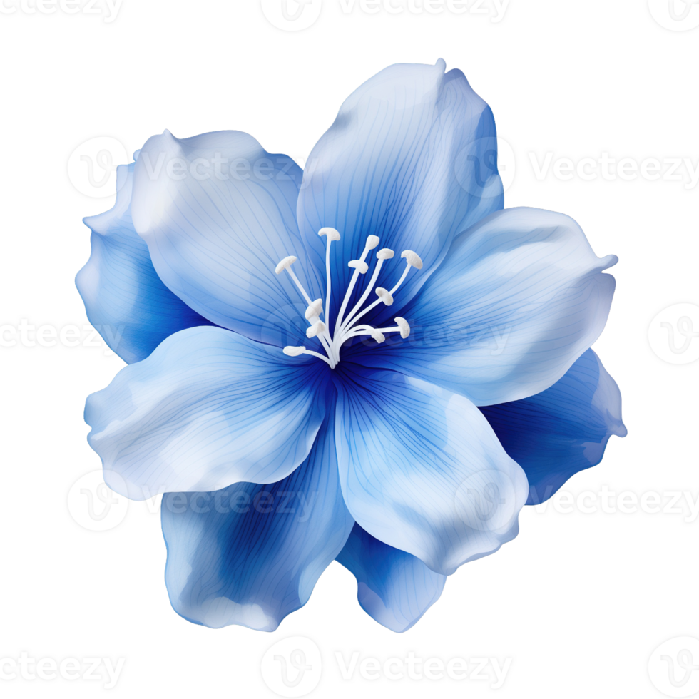 Blue flower isolated on transparent background png