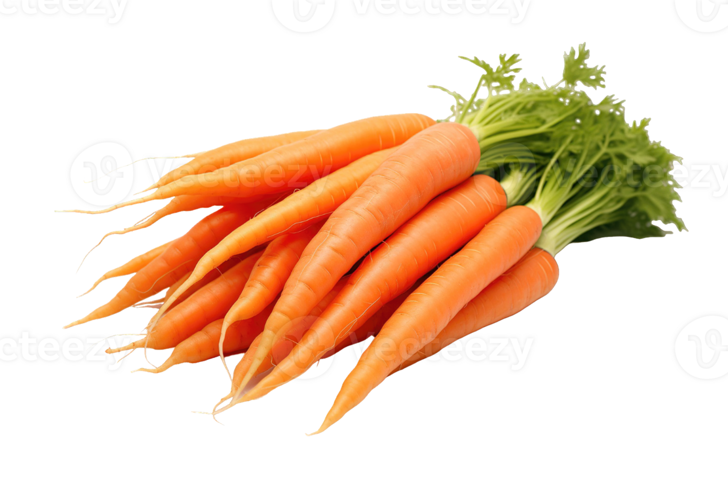 Bunch Of Fresh carrots isolated on transparent background png