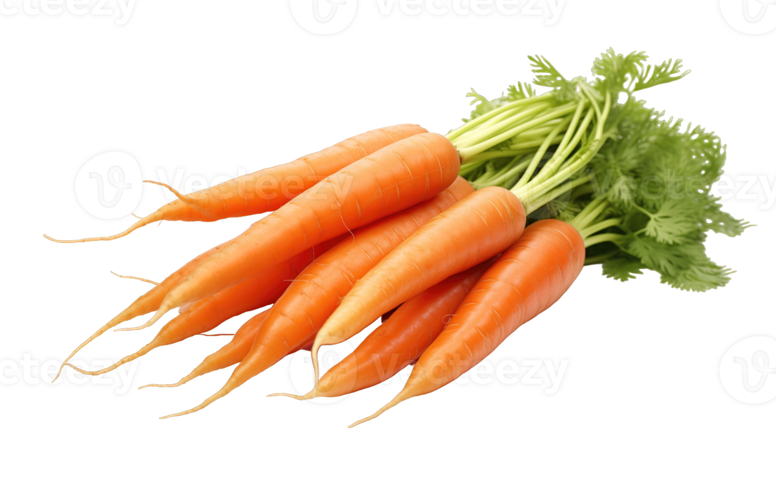 Bunch Of Fresh carrots isolated on transparent background png