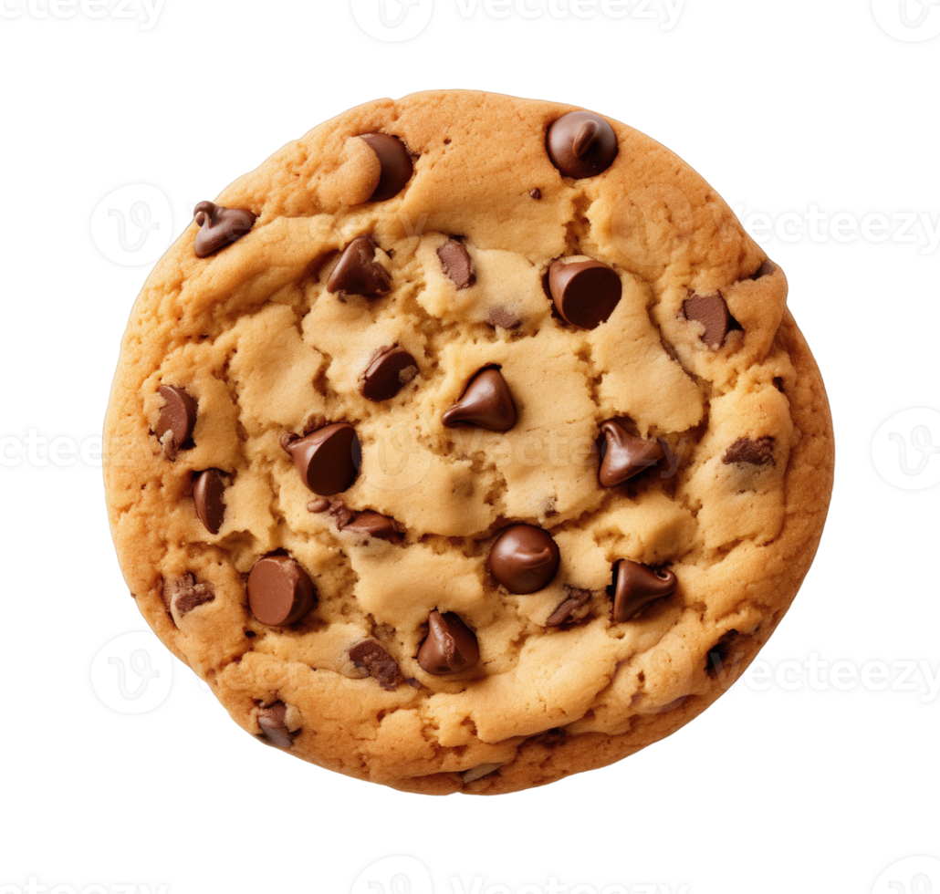 Chocolat puce biscuit isolé sur transparent Contexte png