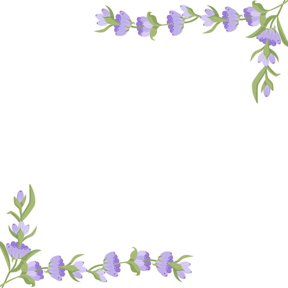 Decorative frame of lavender flowers for your design. illustration isolated on white background. vector