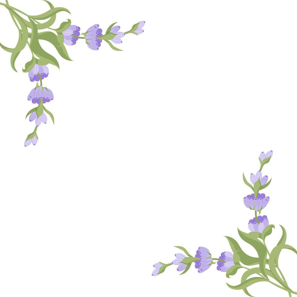 Decorative frame of lavender flowers for your design. illustration isolated on white background. vector