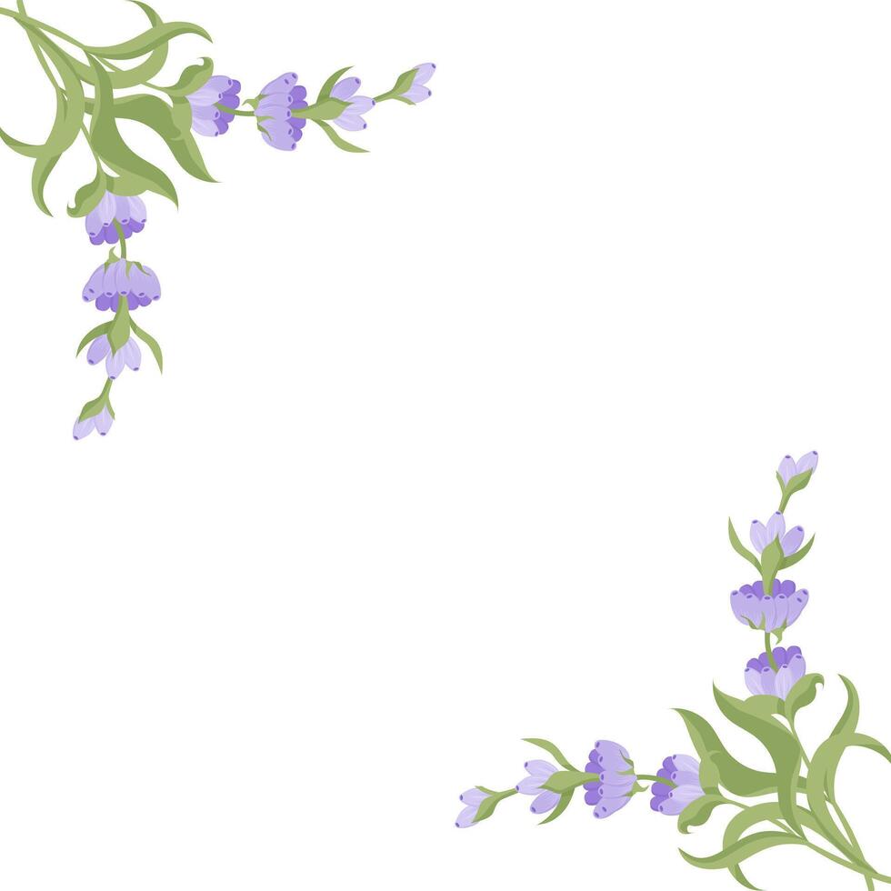 Decorative frame of lavender flowers for your design. illustration isolated on white background. vector