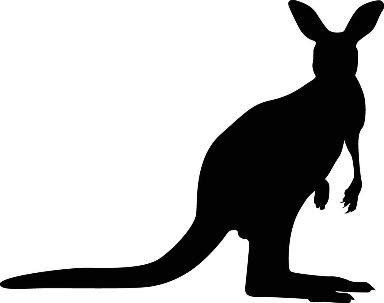 Silhouette of kangaroo animal illustration in black color vector