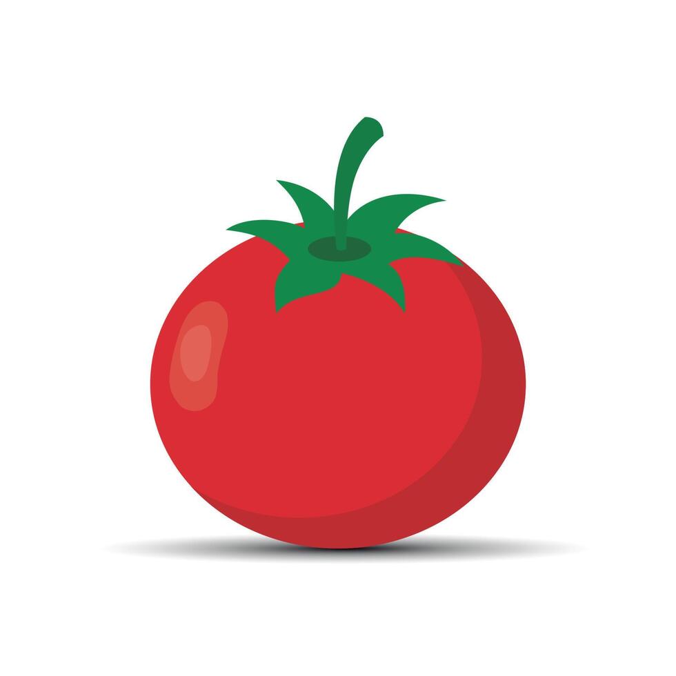 Fresh red tomato on a white background vector
