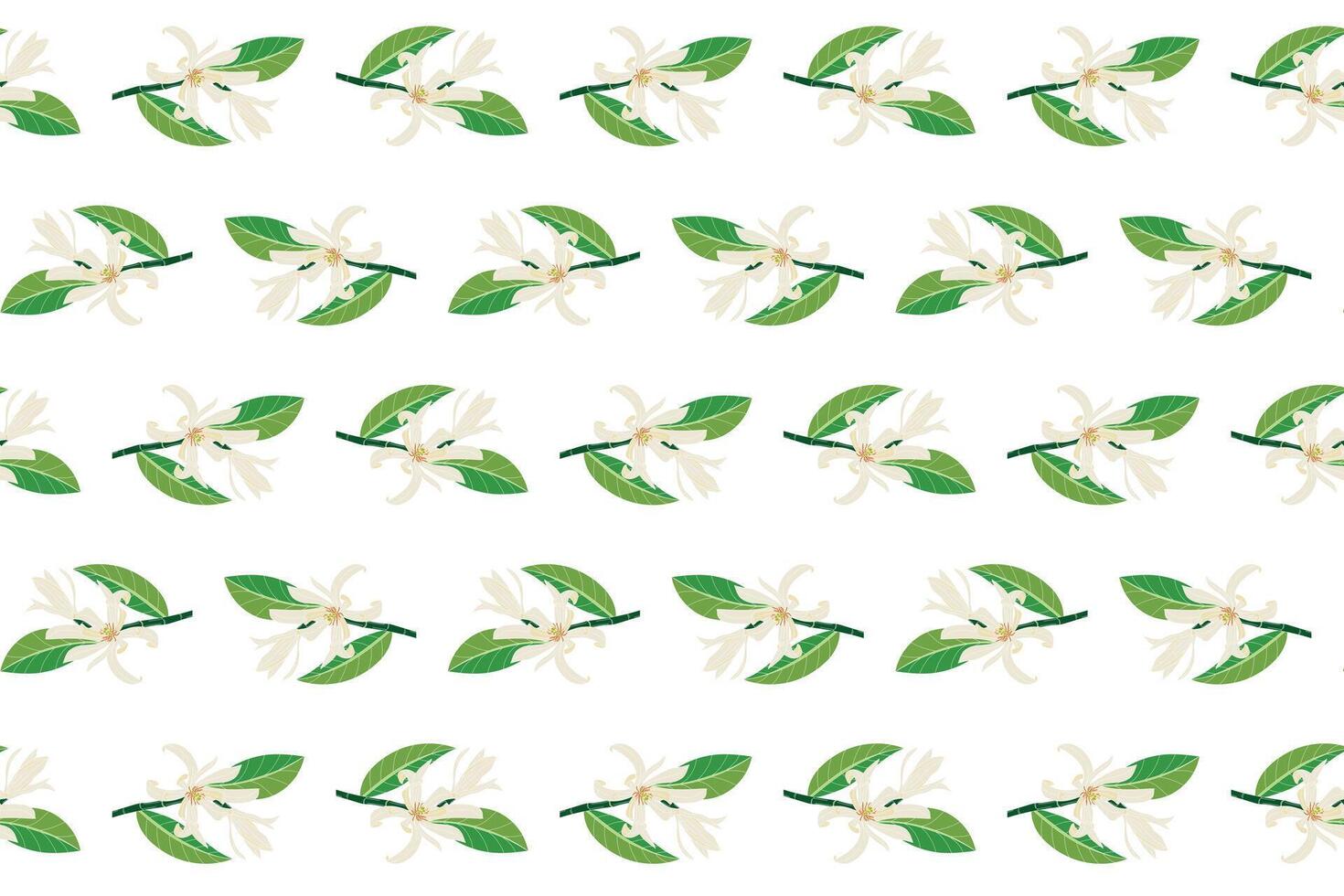 Abstract of chempaka flower with leaf on white background. vector