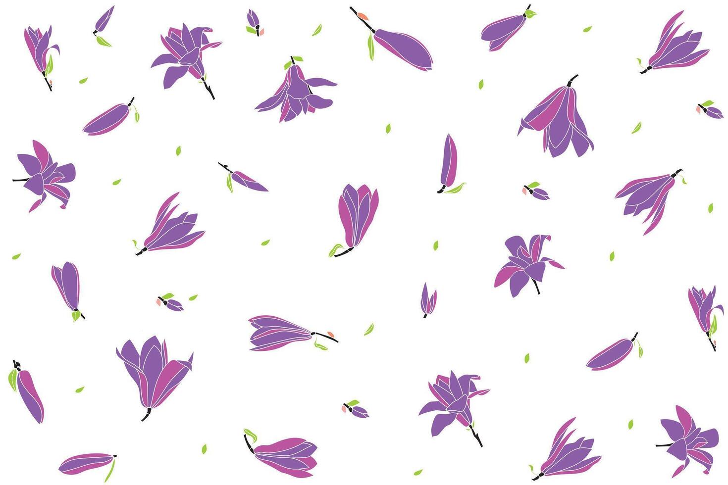 Illustration pattern of Verbanica Saucer Magnolia flower are bloomingwith leaf on white background. vector