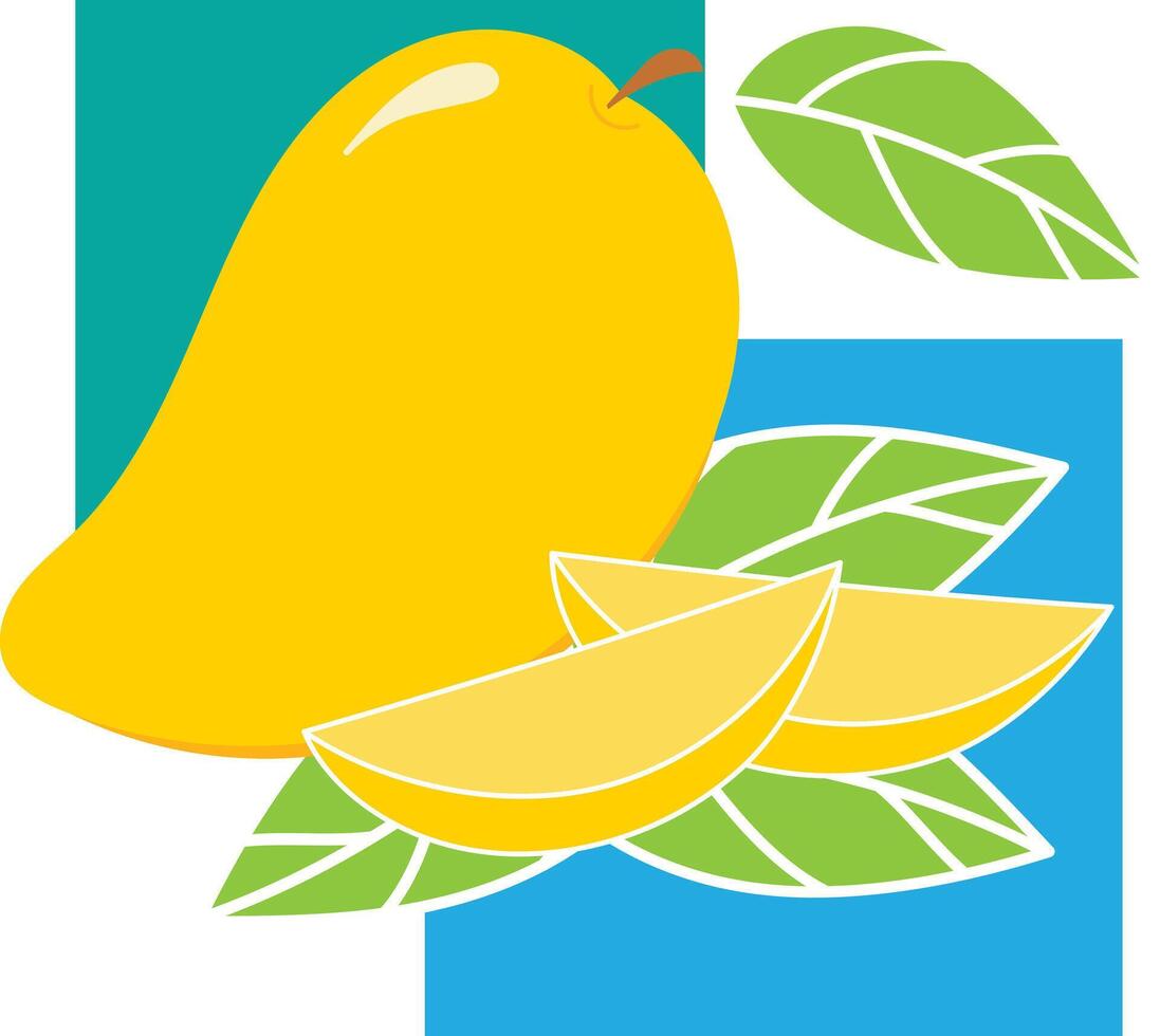 Illustration of mango fruit and pieces on square background. vector
