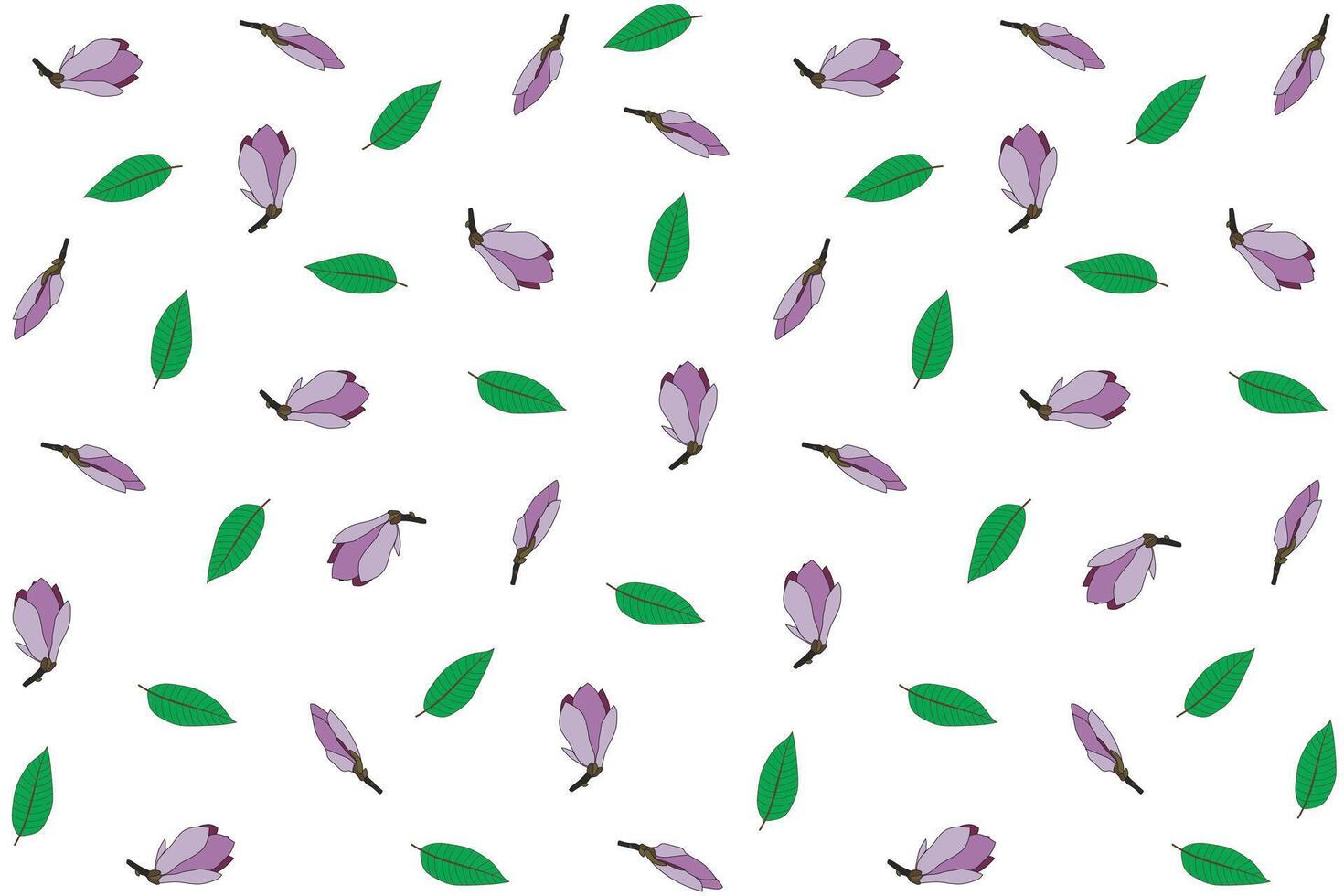 Illustration pattern of verbanica saucer magnolia flower with leaf on white background. vector