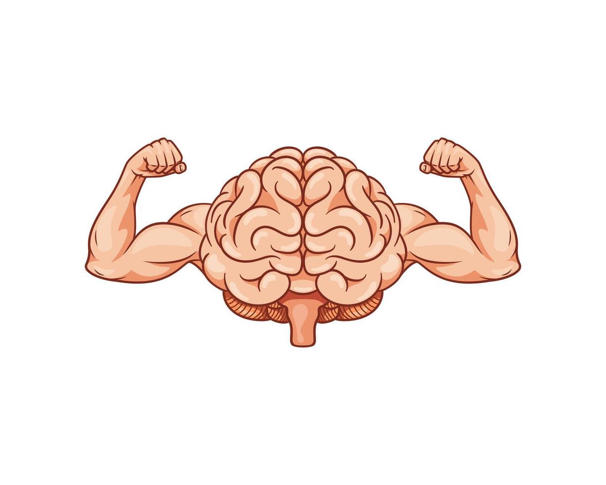 Illustration of brain shows biceps, brain power of intellect. vector