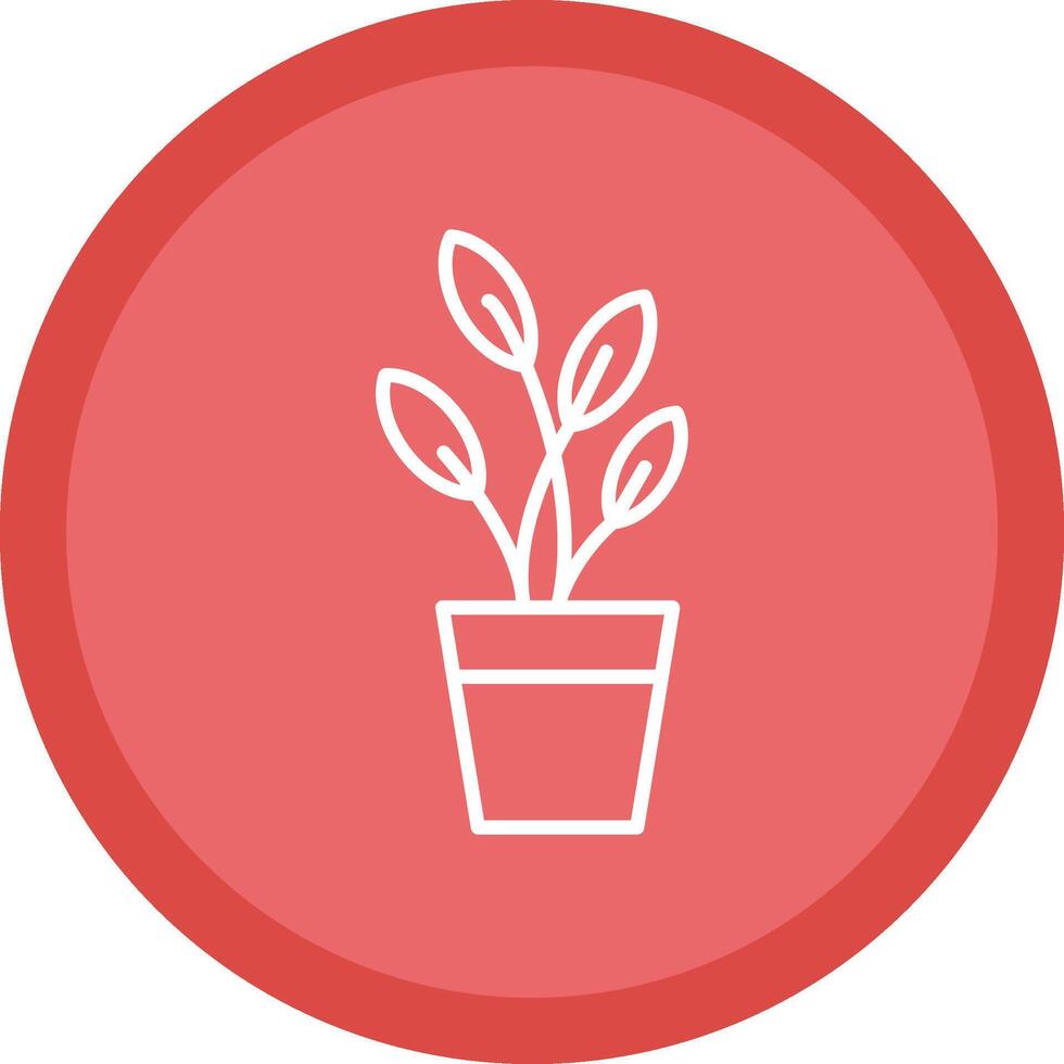 Dumb Cane Line Multi Circle Icon vector