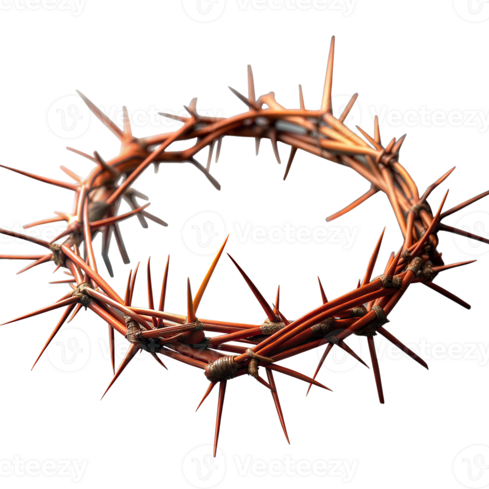 Crown of thorns on a transparent background isolated 44204491 PNG