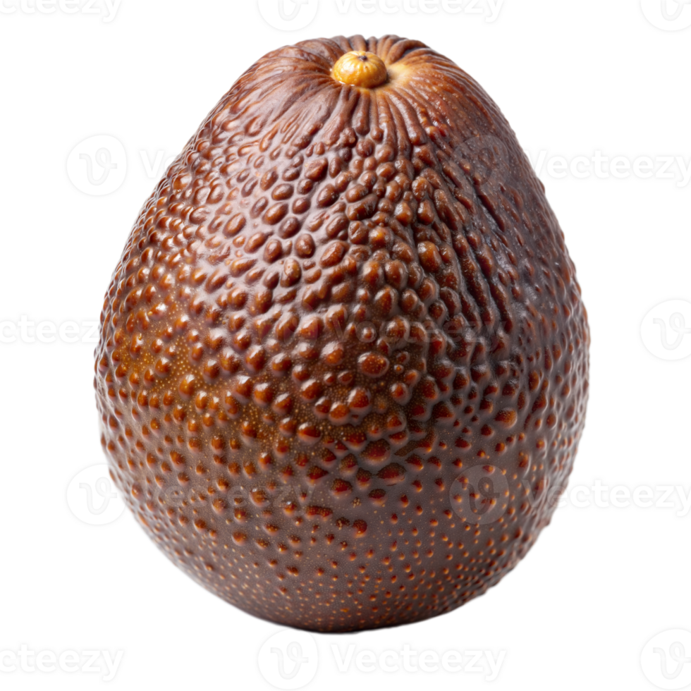 A detailed view of a ripe avocado fruit on a plain transparent surface png