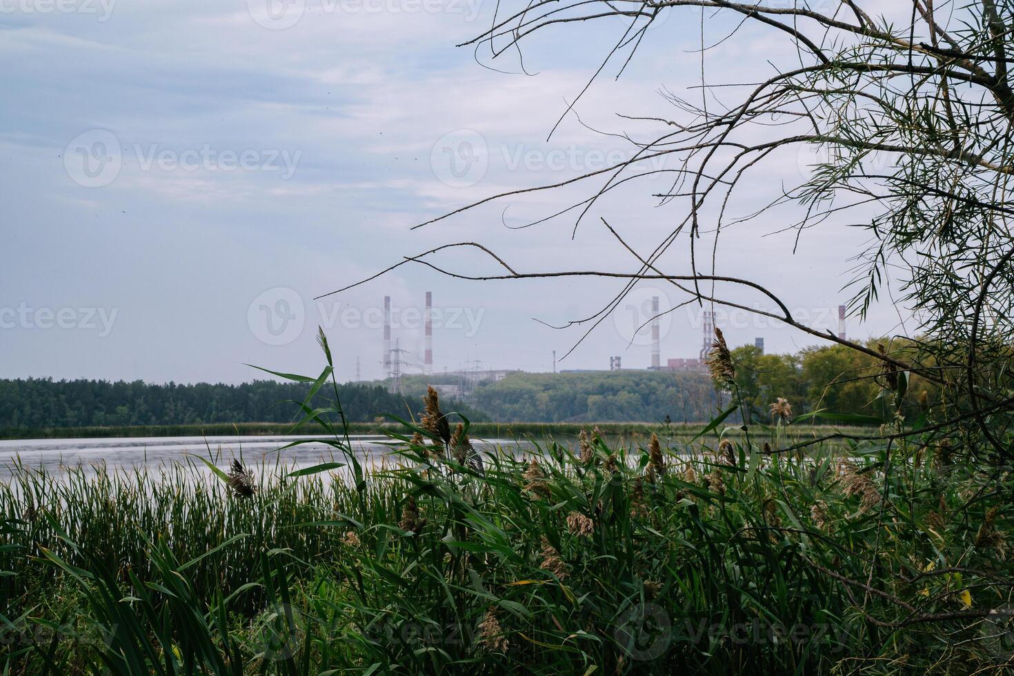 Green Village Near Factory with Tall Emitting Chimneys on a Summer Day photo