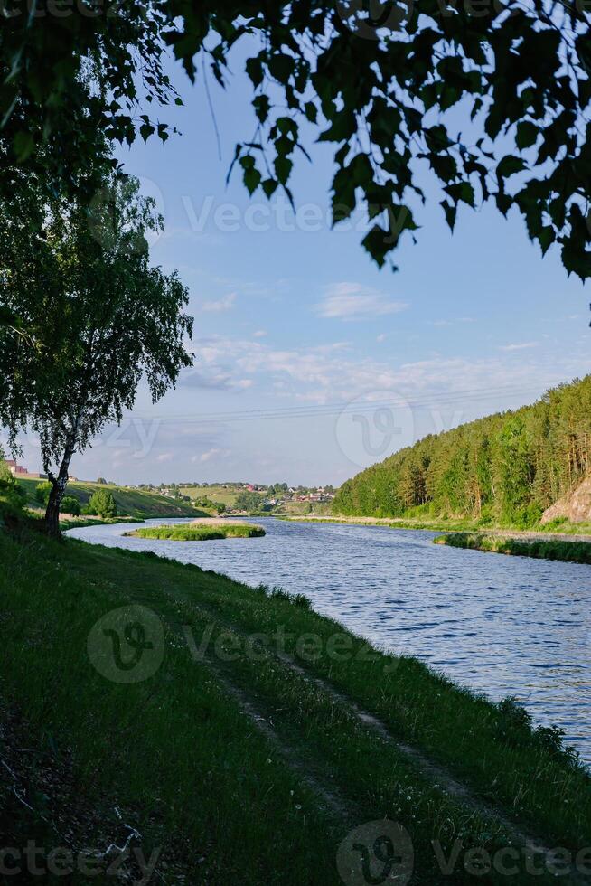 Sun-Kissed Riverbank Embraced by Green Branches photo