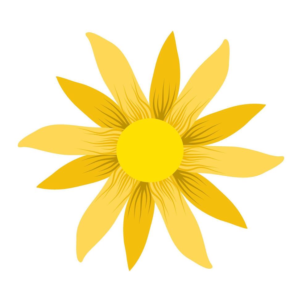 beautiful flower petal with detail for decoration background and your design vector