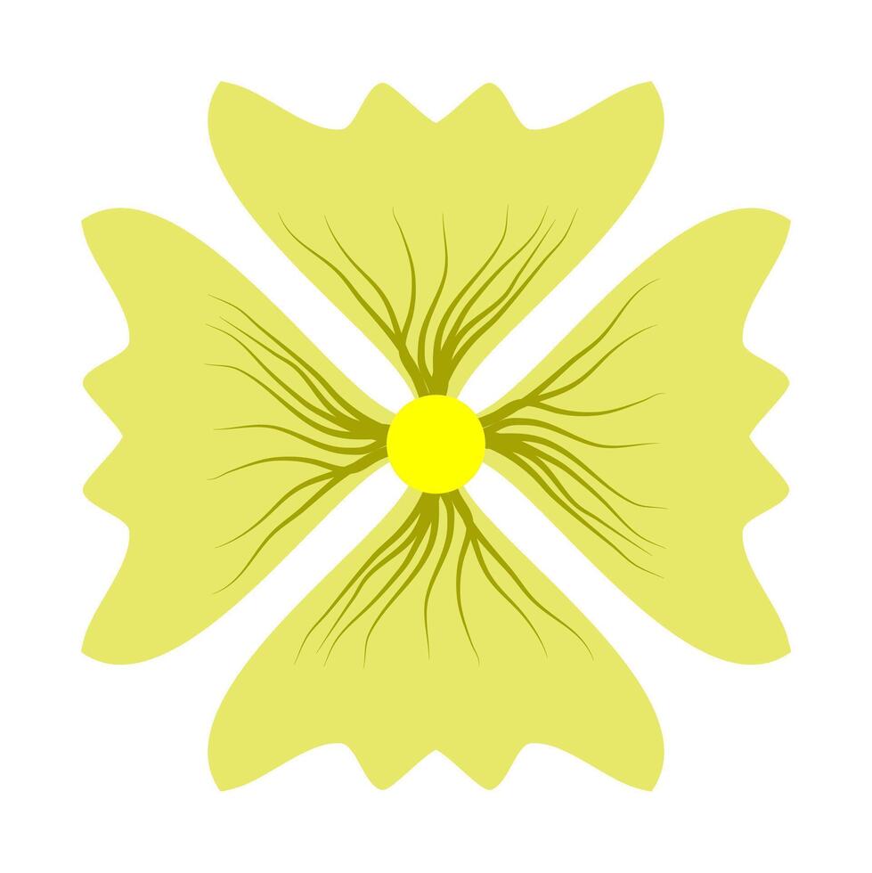 beautiful flower petal with detail for decoration background and your design vector