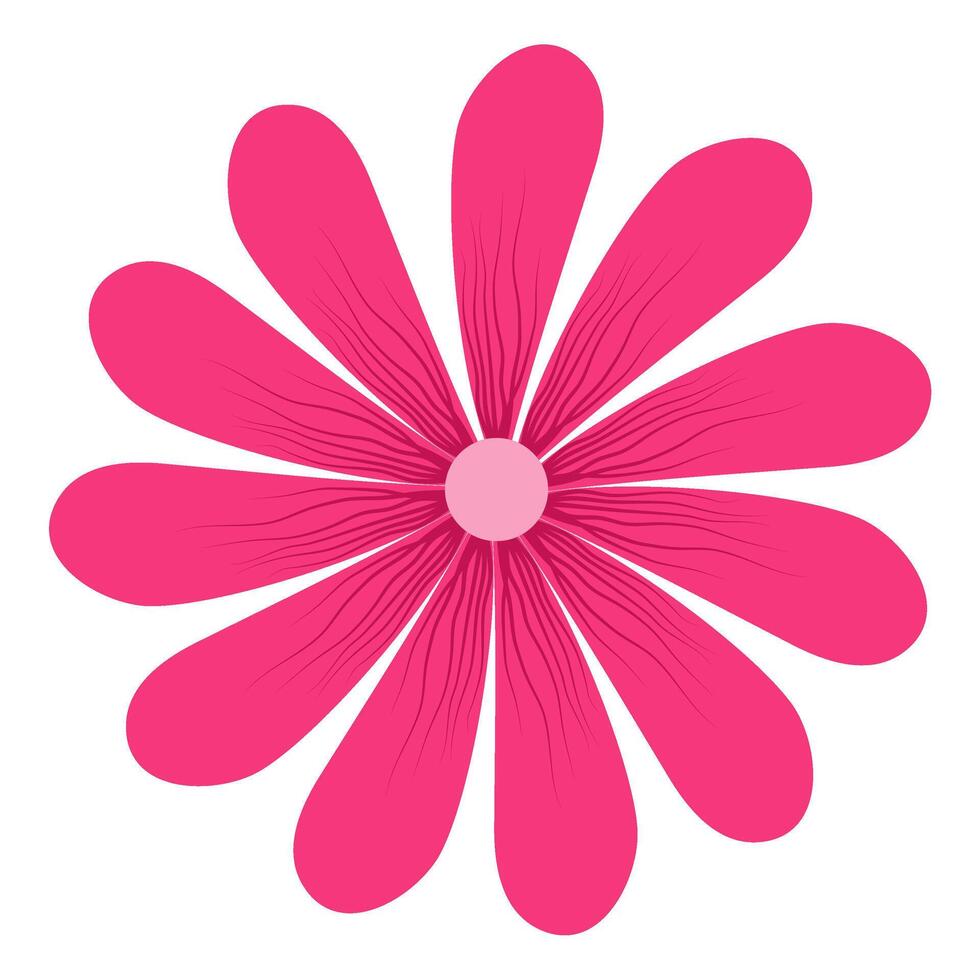 beautiful flower petal with detail for decoration background and your design vector