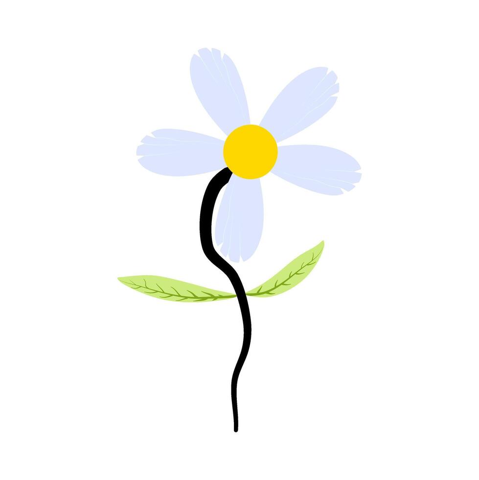 beautiful flower petal with detail for decoration background and your design vector