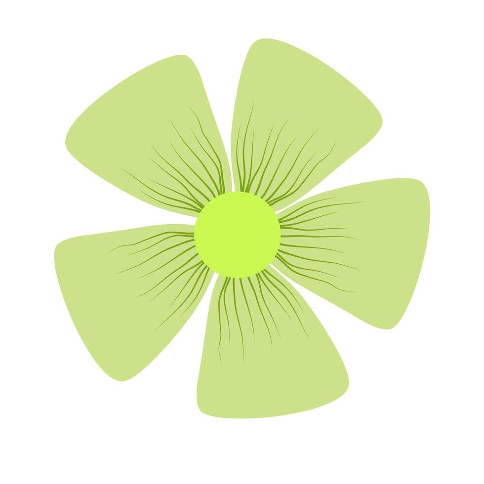beautiful flower petal with detail for decoration background and your design vector
