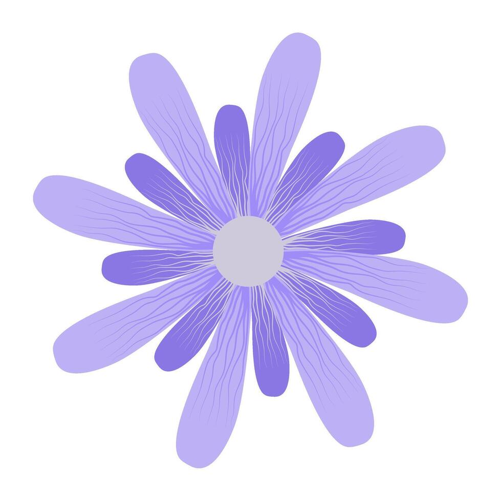beautiful flower petal with detail for decoration background and your design vector