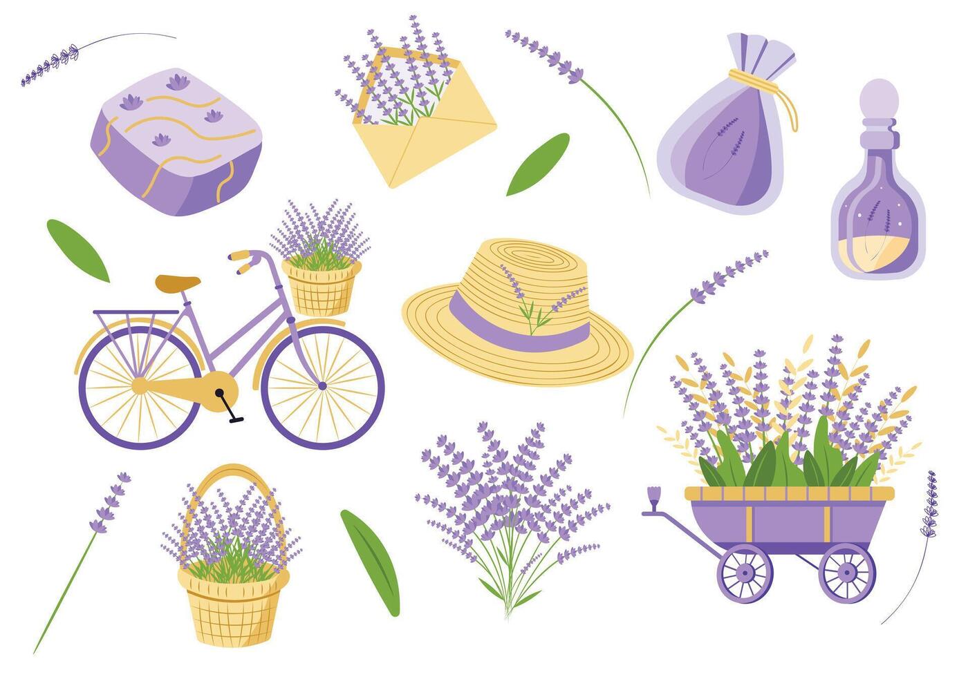 Set of lavender vector