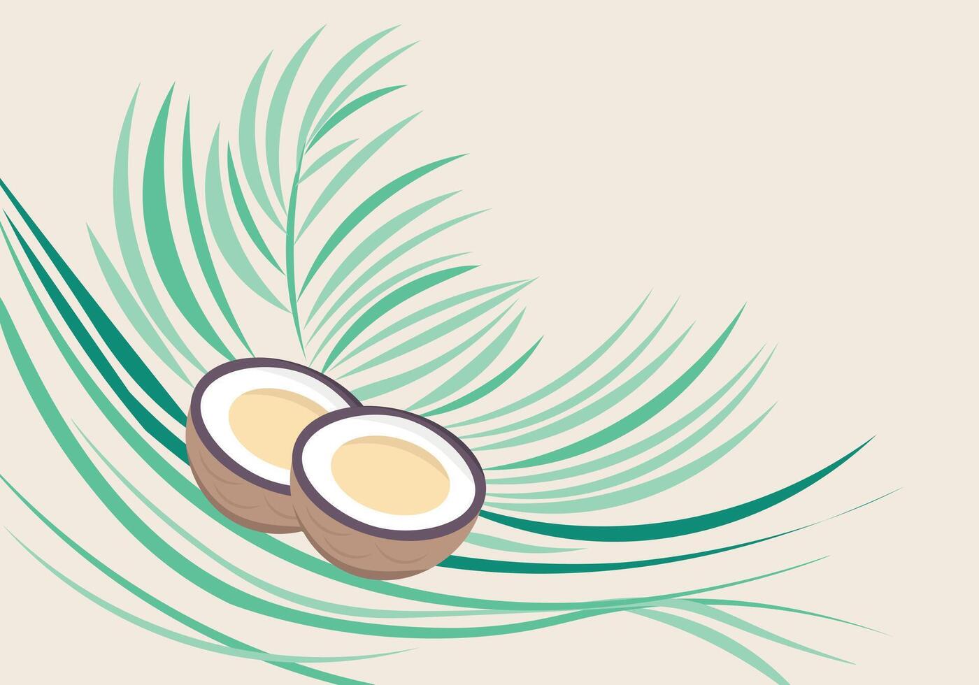 Summer background with cocos nuts vector