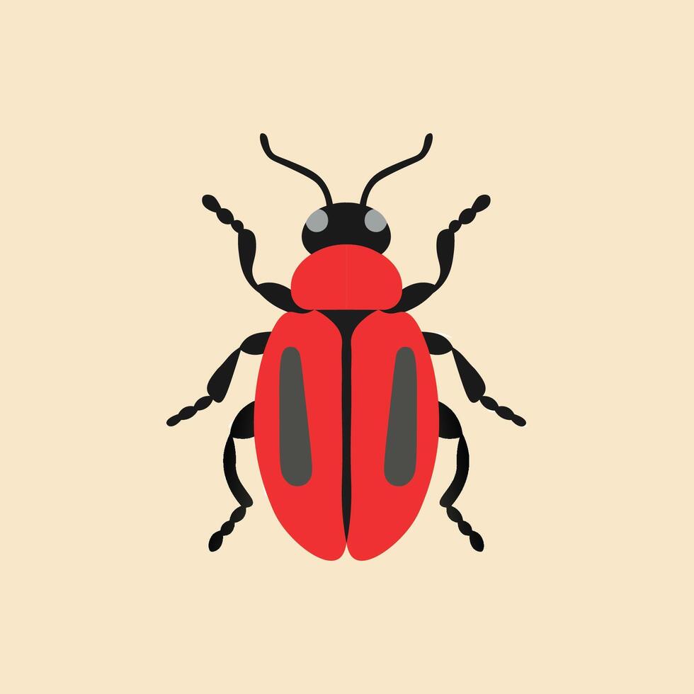 Scarlet lily beetle illustration vector